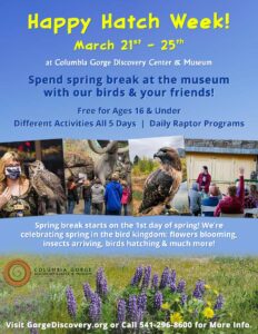 happy hatch week oregon spring break at columbia gorge discovery center